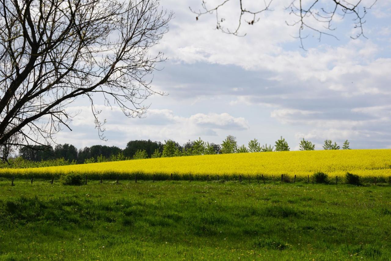 La Grange De Felicie Bed & Breakfast Charrey-sur-Saone Exterior photo